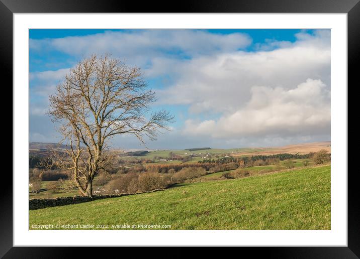 Towards Ettersgill from Miry Lane Framed Mounted Print by Richard Laidler