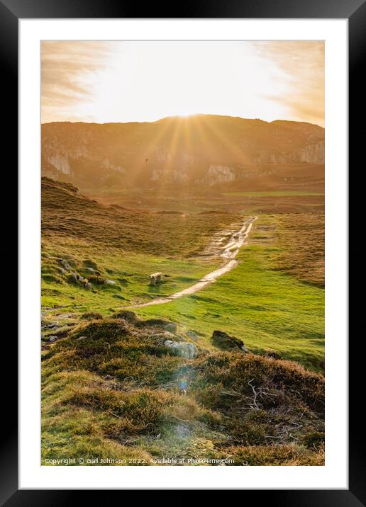 walking at sunset  Framed Mounted Print by Gail Johnson