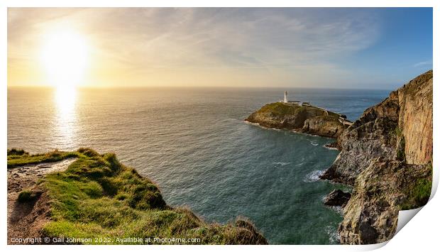 View to South Stack Lighthouse  Print by Gail Johnson