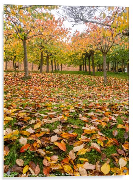 Autumn Trees  Acrylic by Gail Johnson