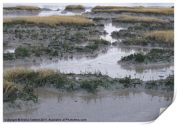 Kyson Point Estuary, Woodbridge, Suffolk Print by DEE- Diana Cosford