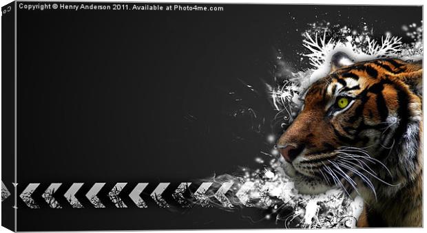 Tiger Canvas Print by Henry Anderson