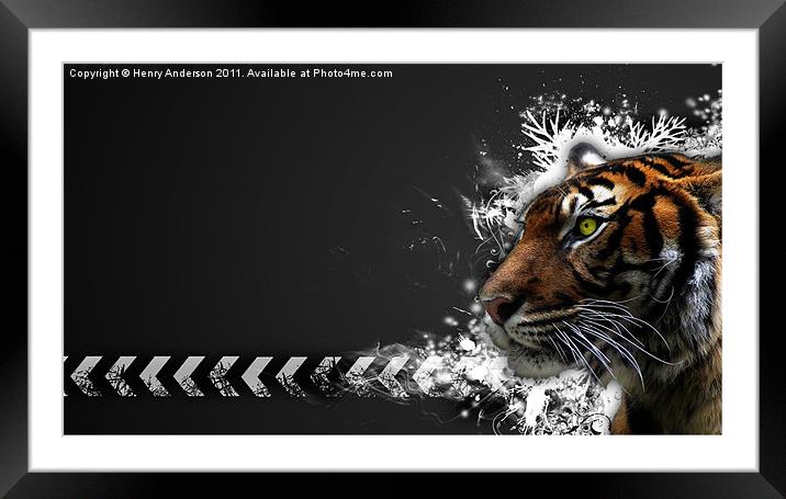 Tiger Framed Mounted Print by Henry Anderson