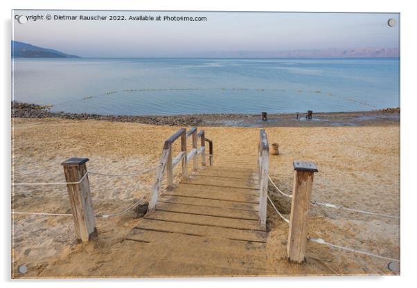 Dead Sea Beach in the Early Morning Acrylic by Dietmar Rauscher