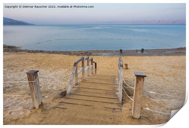 Dead Sea Beach in the Early Morning Print by Dietmar Rauscher