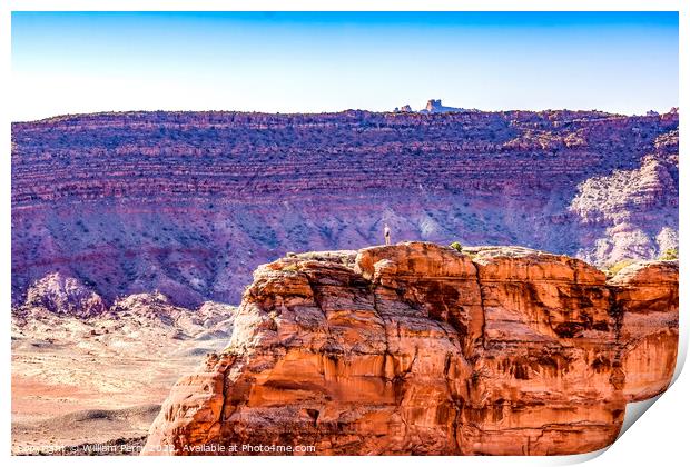 Cliff Delicate Arch Rock Canyon Arches National Pa Print by William Perry