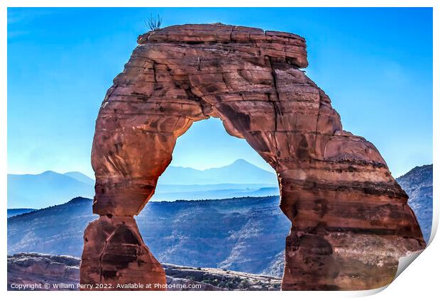 Delicate Arch Rock Canyon Arches National Park Moa Print by William Perry
