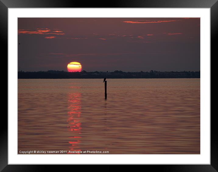 Sunrise Framed Mounted Print by shirley newman