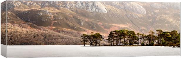 Pine trees on Loch MMaree in Scotland Canvas Print by Sonny Ryse