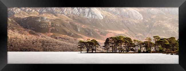 Pine trees on Loch MMaree in Scotland Framed Print by Sonny Ryse