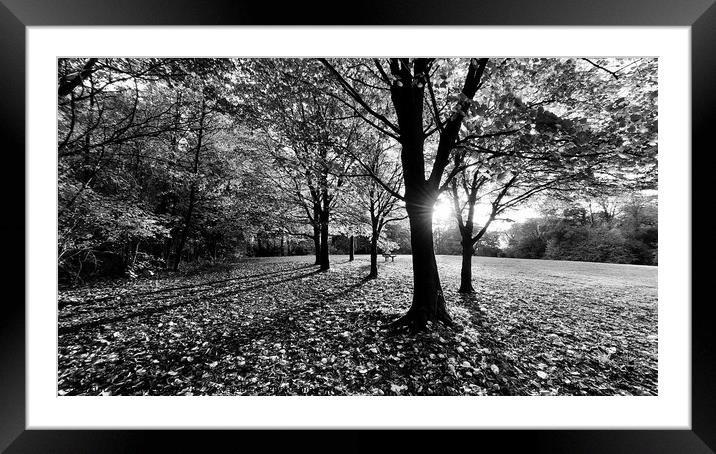 Autumn Preston Park, Mono Framed Mounted Print by Michele Davis