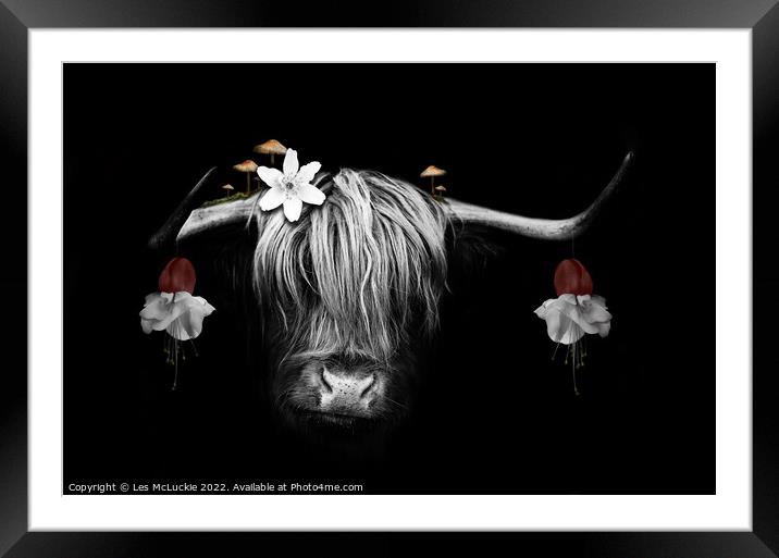 Majestic Highland Cow in Digital Art Framed Mounted Print by Les McLuckie