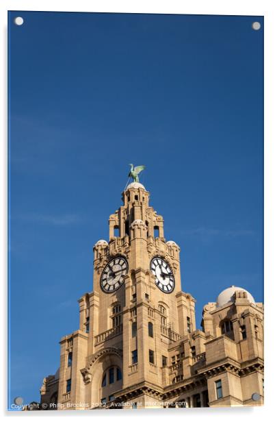 Liver Building Clocktower Acrylic by Philip Brookes