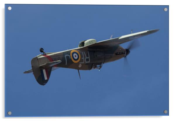 Hawker Hurricane LF363 Acrylic by J Biggadike