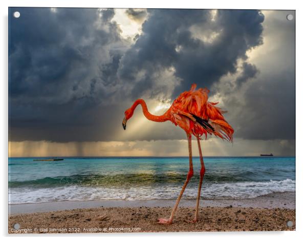 Bob the Flamingo after his swim Acrylic by Gail Johnson