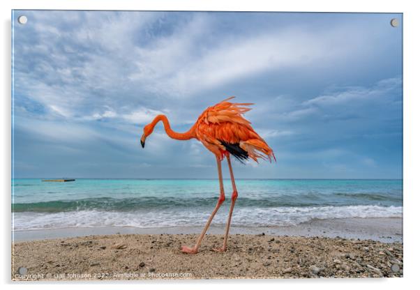 Bob the Flamingo after his swim Acrylic by Gail Johnson
