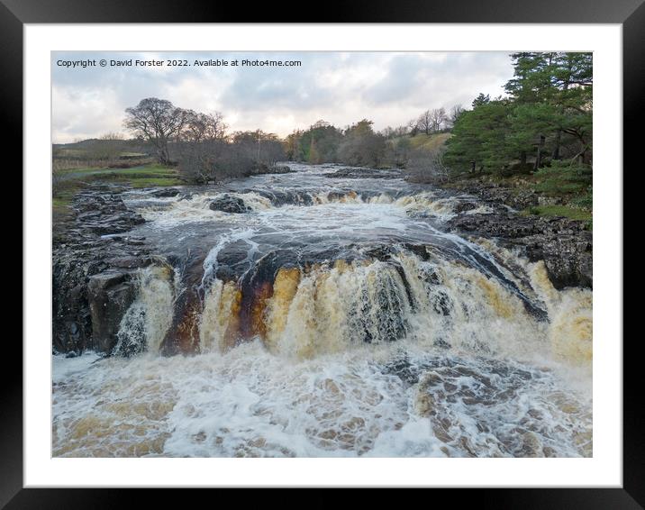 The River Tees in Spate at Low Force, Teesdale, County Durham Framed Mounted Print by David Forster