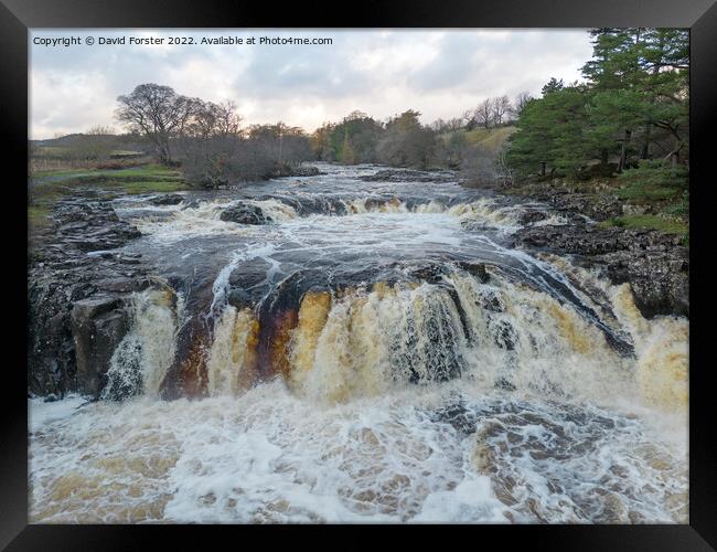 The River Tees in Spate at Low Force, Teesdale, County Durham Framed Print by David Forster