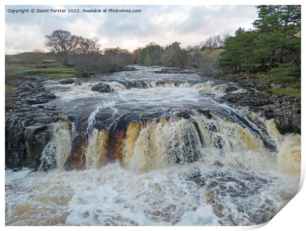 The River Tees in Spate at Low Force, Teesdale, County Durham Print by David Forster