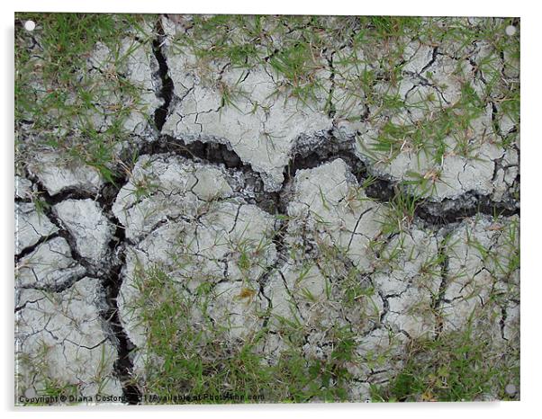 Parched earth, Bedfordshire walk. Acrylic by DEE- Diana Cosford