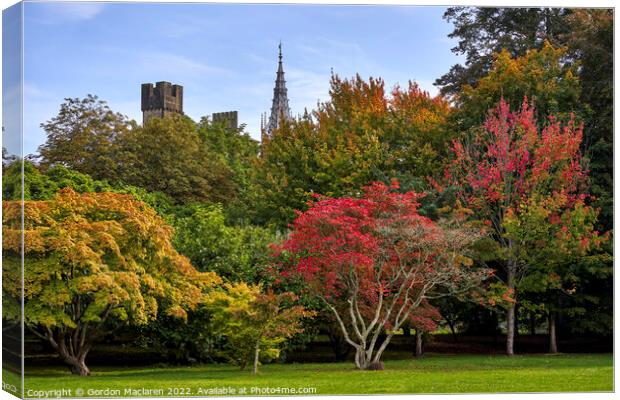 Cardiff Castle in Autumn from Bute Park, South Wal Canvas Print by Gordon Maclaren