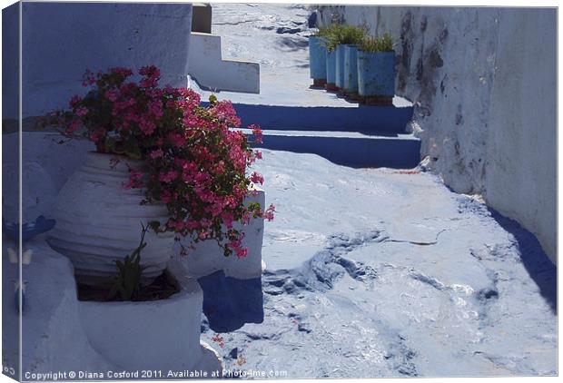 Greek Pathway Canvas Print by DEE- Diana Cosford