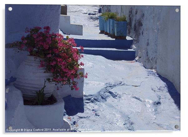 Greek Pathway Acrylic by DEE- Diana Cosford