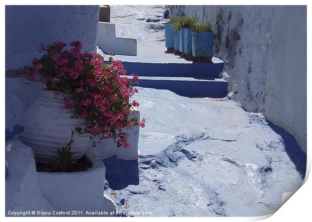 Greek Pathway Print by DEE- Diana Cosford