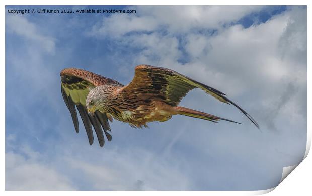 Majestic Red Kite Soars Across the Sky Print by Cliff Kinch