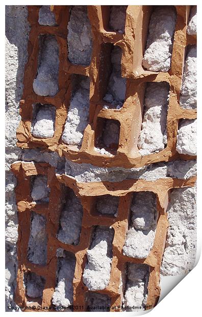 Eroded brick of ruin Print by DEE- Diana Cosford