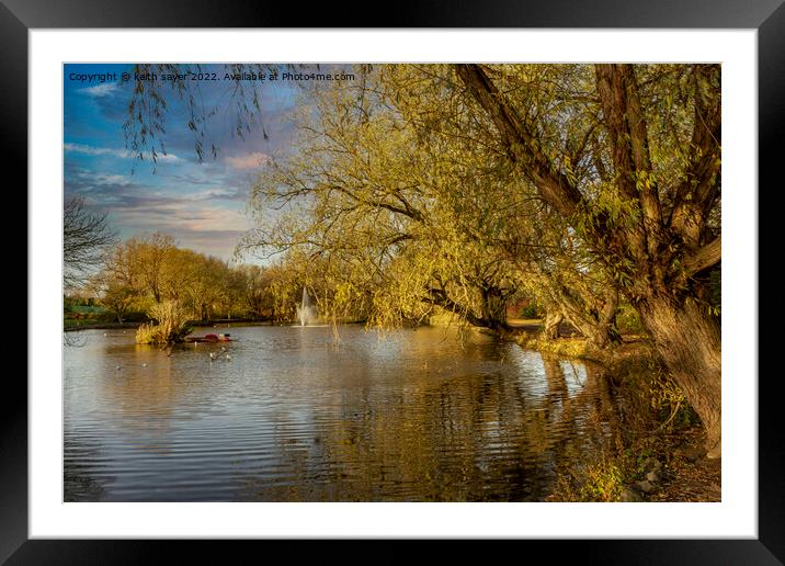 Vibrant Autumn Scene at Locke Park Redcar Framed Mounted Print by keith sayer