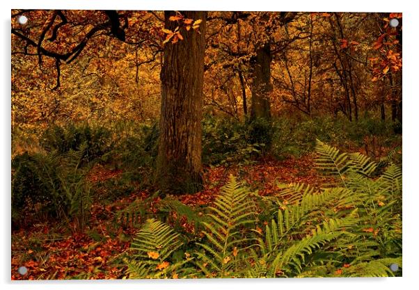 Autumn Trees Acrylic by Martyn Arnold