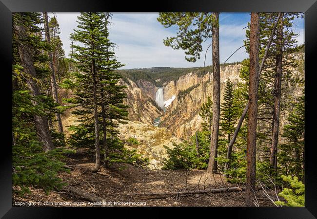 Yellowstone National Park - Lower Falls Framed Print by colin chalkley