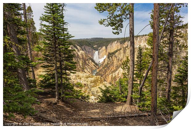 Yellowstone National Park - Lower Falls Print by colin chalkley