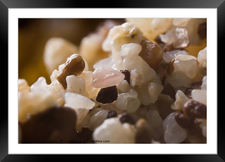grains of sand on a coral beach Framed Mounted Print by Craig Lapsley