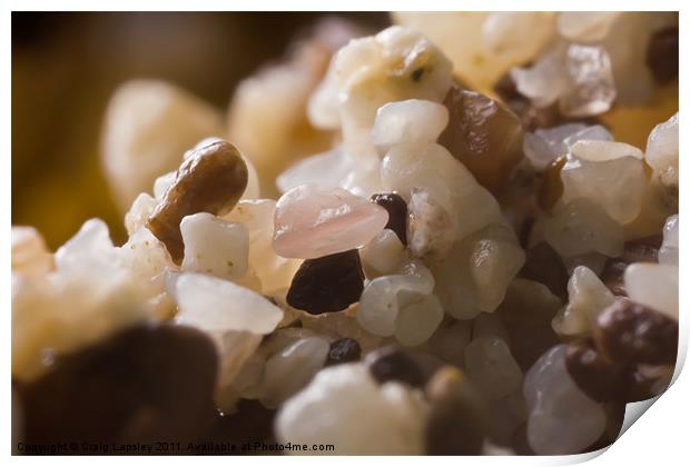 grains of sand on a coral beach Print by Craig Lapsley