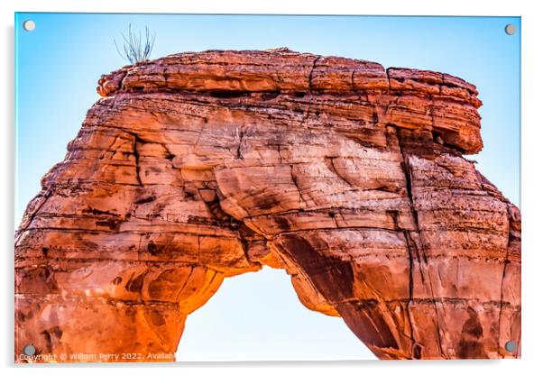 Delicate Arch Rock Canyon Arches National Park Moab Utah  Acrylic by William Perry