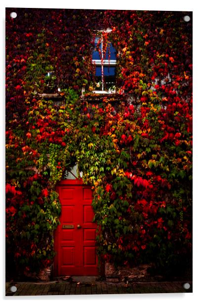 Dartmouth Door Way, Devon Acrylic by Maggie McCall