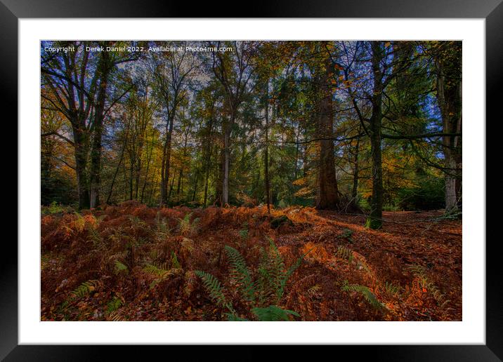 Autumnal Euphoria Framed Mounted Print by Derek Daniel