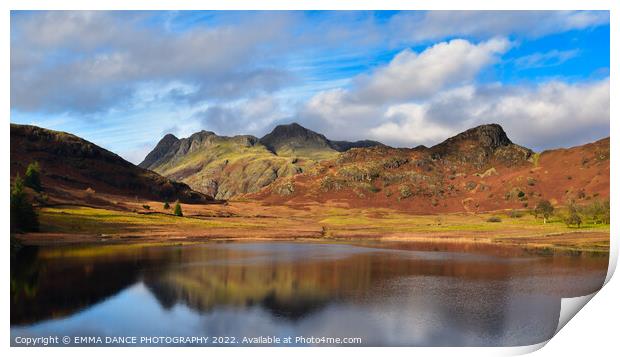 A view across Blea Tarn towards the Langdale Pikes Print by EMMA DANCE PHOTOGRAPHY