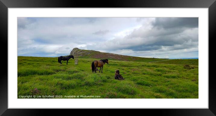 Dartmoor Ponies  Framed Mounted Print by Les Schofield