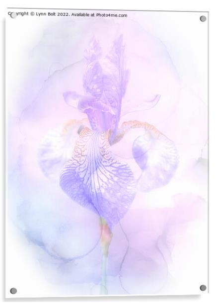 Dreamy Iris Acrylic by Lynn Bolt