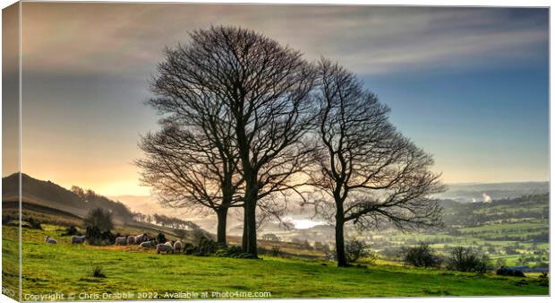 Winter trees at the Roaches  (2) Canvas Print by Chris Drabble