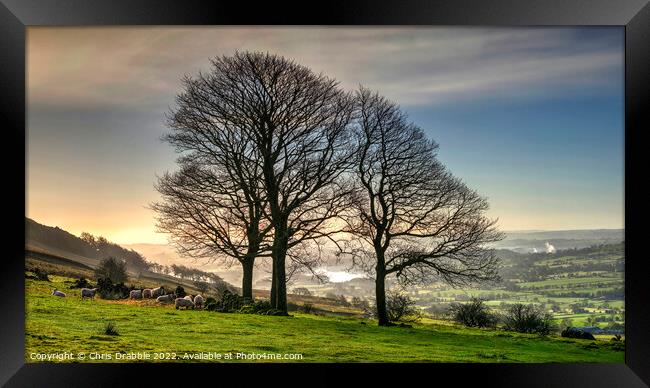 Winter trees at the Roaches  (2) Framed Print by Chris Drabble