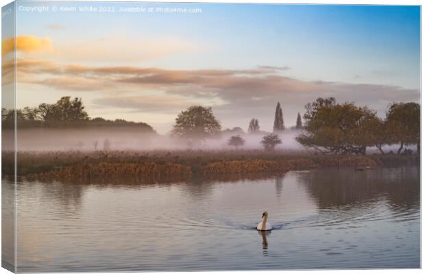 Late November mist with swan Canvas Print by Kevin White