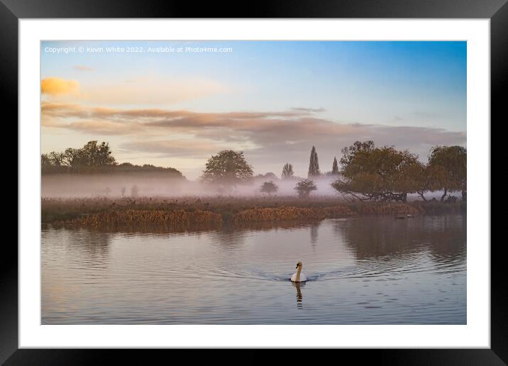 Late November mist with swan Framed Mounted Print by Kevin White