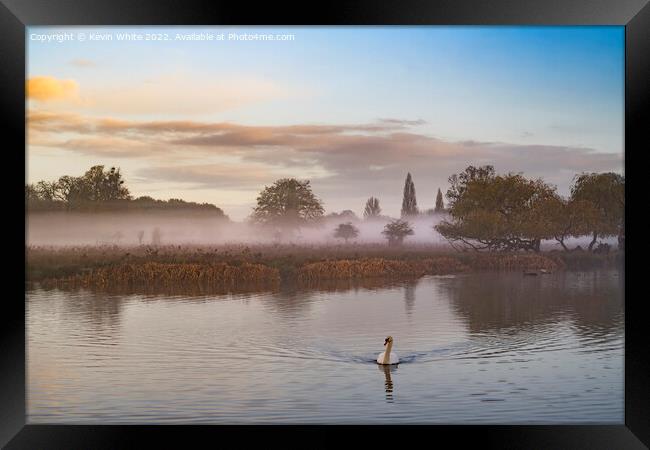 Late November mist with swan Framed Print by Kevin White
