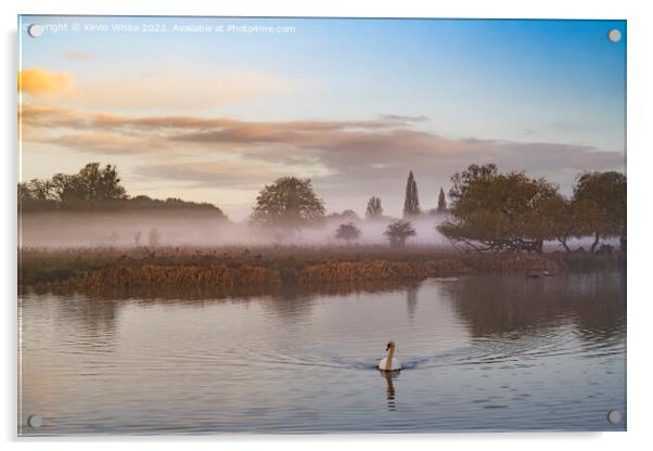 Late November mist with swan Acrylic by Kevin White