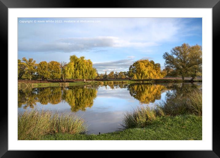 Heron pond November morning sun Bushy Park Framed Mounted Print by Kevin White
