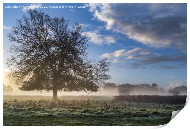 Greeted with a frosty sunrise Print by Kevin White
